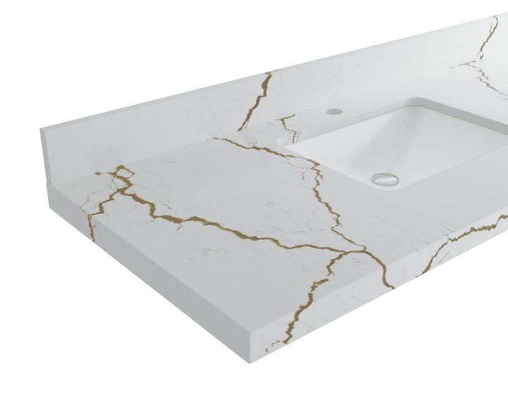 Cambridge 48 in. W x 22 in. D Double Sink Bathroom Vanity - photo 1