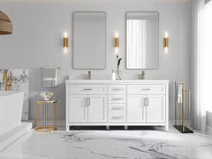 Cambridge 72 in. W x 22 in. D Double Sink Bathroom Vanity - photo 4