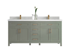Cambridge 72 in. W x 22 in. D Double Sink Bathroom Vanity - photo 1