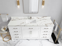 Cambridge 72 in. W x 22 in. D Single Sink Bathroom Vanity - photo 35