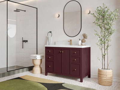 Chicago 48 in. W x 22 in. D Single Sink Bathroom Vanity - Willow Bath and Vanity