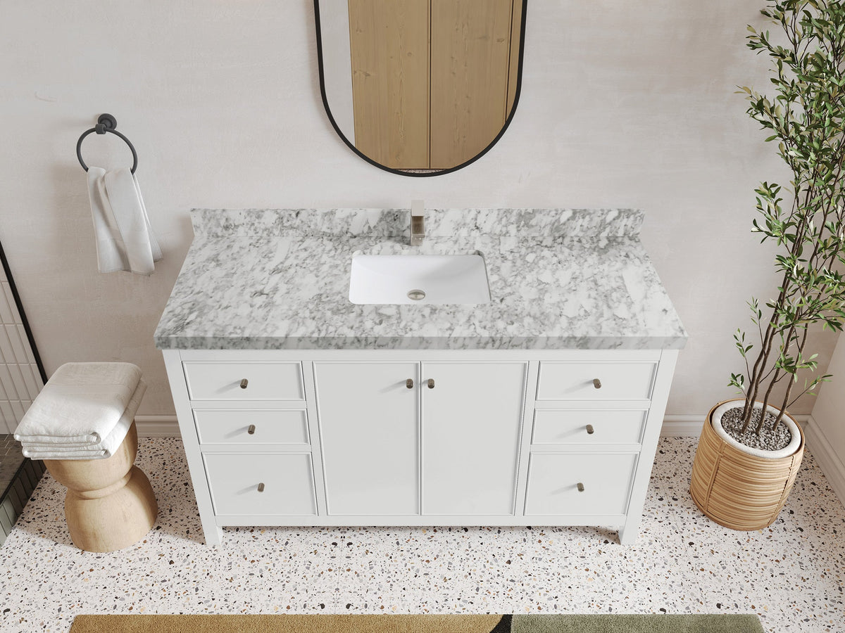 Chicago 60 in. W x 22 in. D Single Sink Bathroom Vanity - Willow Bath and Vanity
