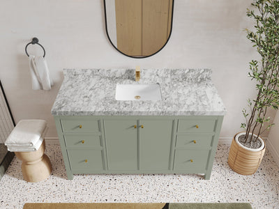 Chicago 60 in. W x 22 in. D Single Sink Bathroom Vanity - Willow Bath and Vanity