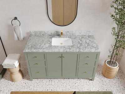 Chicago 60 in. W x 22 in. D Single Sink Bathroom Vanity - Willow Bath and Vanity