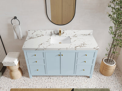 Chicago 60 in. W x 22 in. D Single Sink Bathroom Vanity - Willow Bath and Vanity