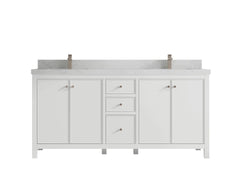 Chicago 72 in. W x 22 in. D Double Sink Bathroom Vanity - photo 1