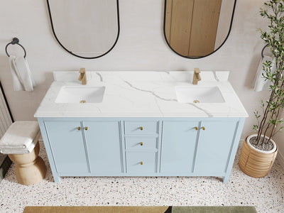 Chicago 72 in. W x 22 in. D Double Sink Bathroom Vanity - Willow Bath and Vanity