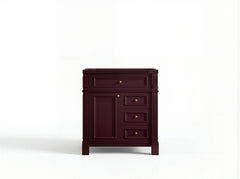 Paris 30 in. W x 22 in. D Single Sink Bathroom Vanity - photo 19
