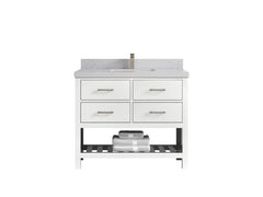 Parker 42 in. W x 22 in. D Single Sink Bathroom Vanity - photo 1