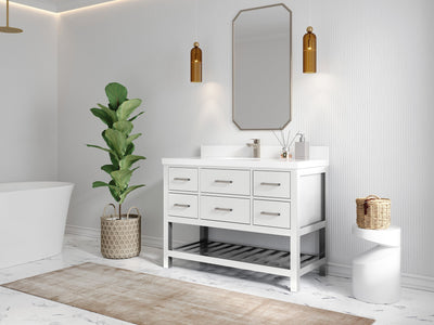 Parker 48 in. W x 22 in. D Single Sink Bathroom Vanity - Willow Bath and Vanity