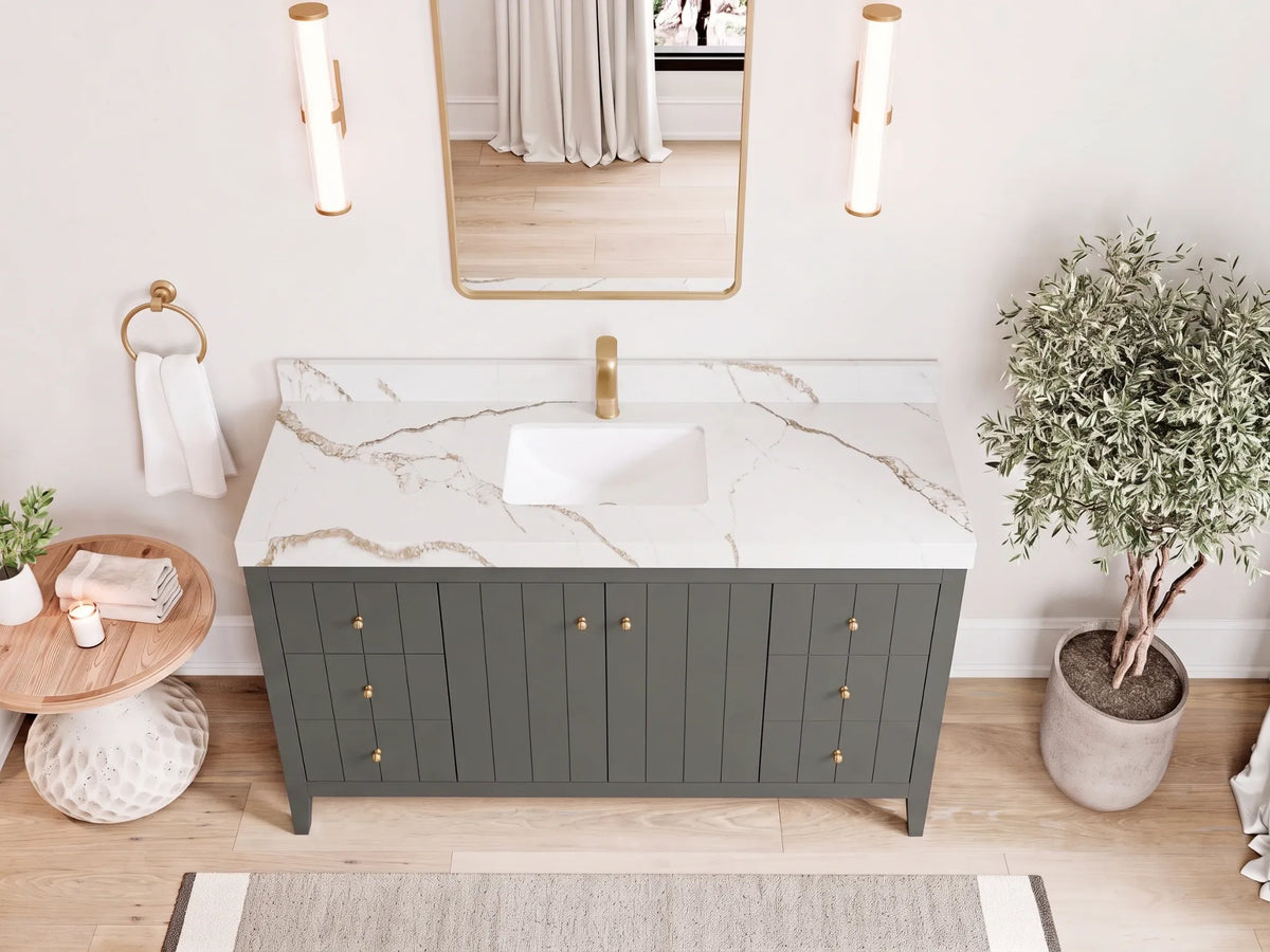 Atlanta 60 in. W x 22 in. D Single Sink Bathroom Vanity
