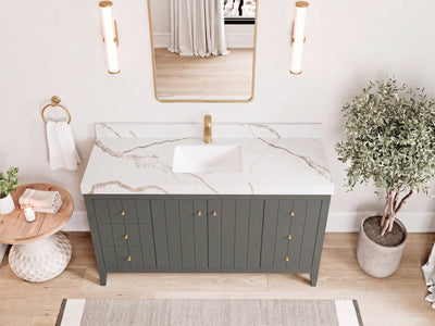 Atlanta 60 in. W x 22 in. D Single Sink Bathroom Vanity