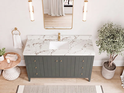 Atlanta 60 in. W x 22 in. D Single Sink Bathroom Vanity