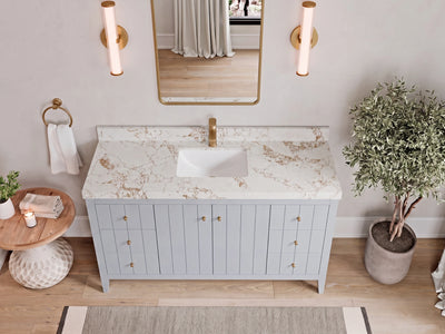 Atlanta 60 in. W x 22 in. D Single Sink Bathroom Vanity