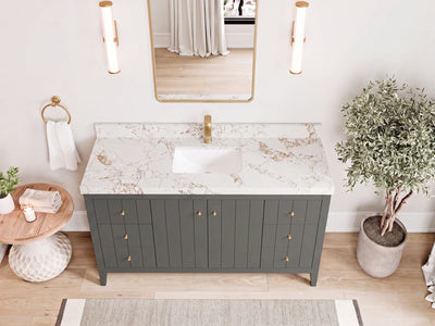 Atlanta 60 in. W x 22 in. D Single Sink Bathroom Vanity