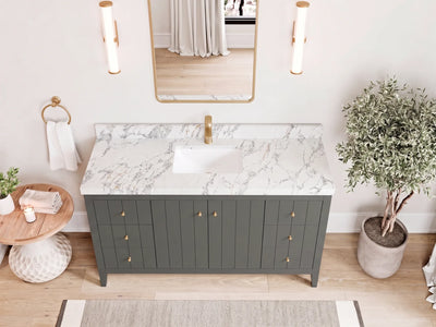 Atlanta 60 in. W x 22 in. D Single Sink Bathroom Vanity