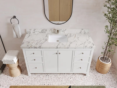 Chicago 60 in. W x 22 in. D Single Sink Bathroom Vanity