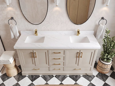 Charlotte 72 in. W x 22 in. D Double Sink Bathroom Vanity