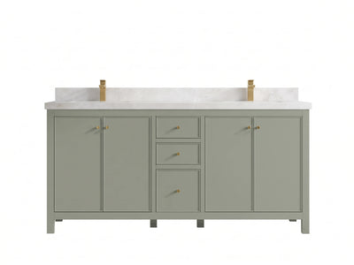 Chicago 72 in. W x 22 in. D Double Sink Bathroom Vanity