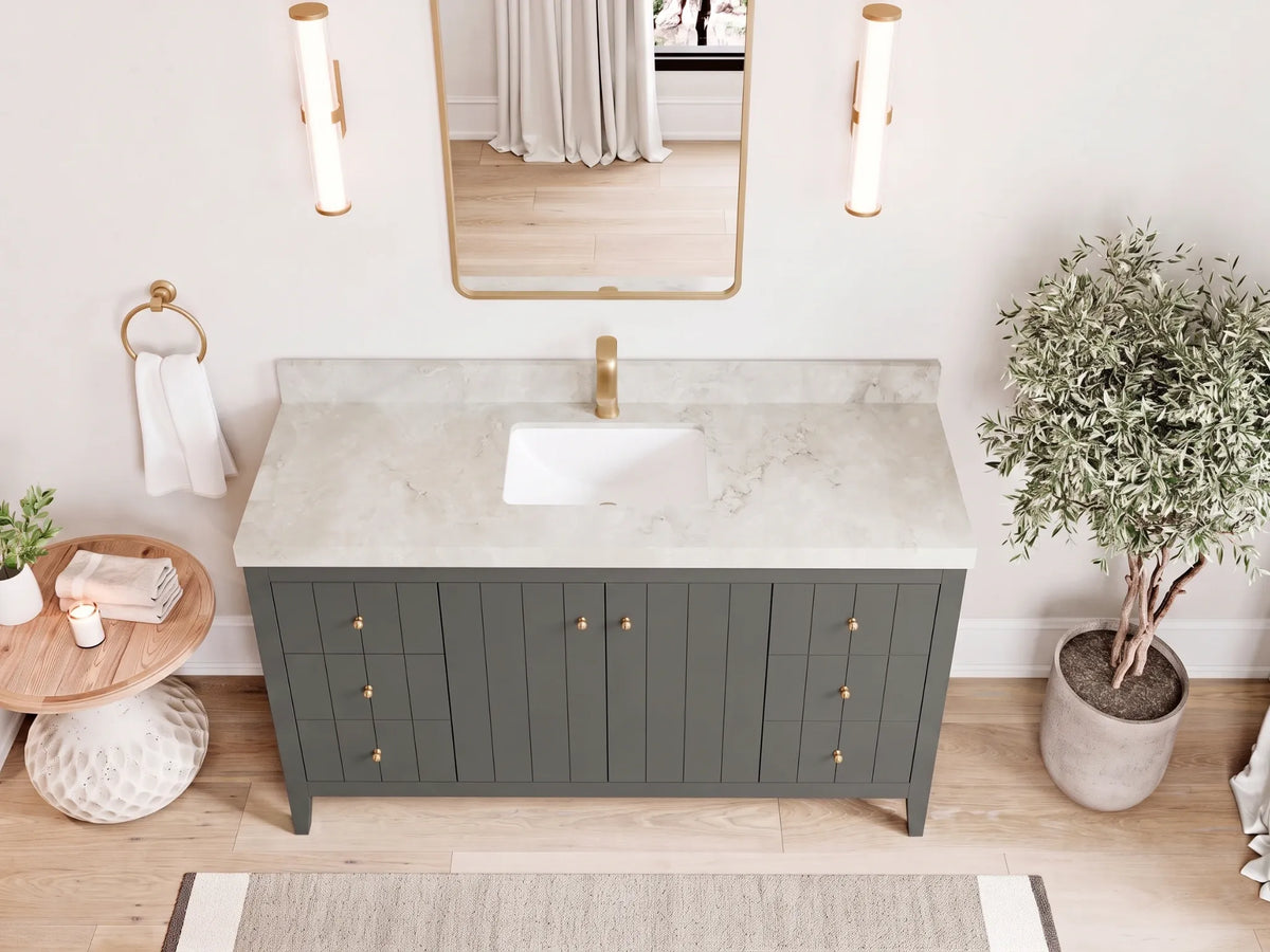 Atlanta 60 in. W x 22 in. D Single Sink Bathroom Vanity