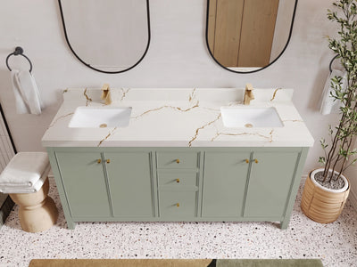 Chicago 72 in. W x 22 in. D Double Sink Bathroom Vanity