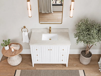 Atlanta 42 in. W x 22 in. D Single Sink Bathroom Vanity