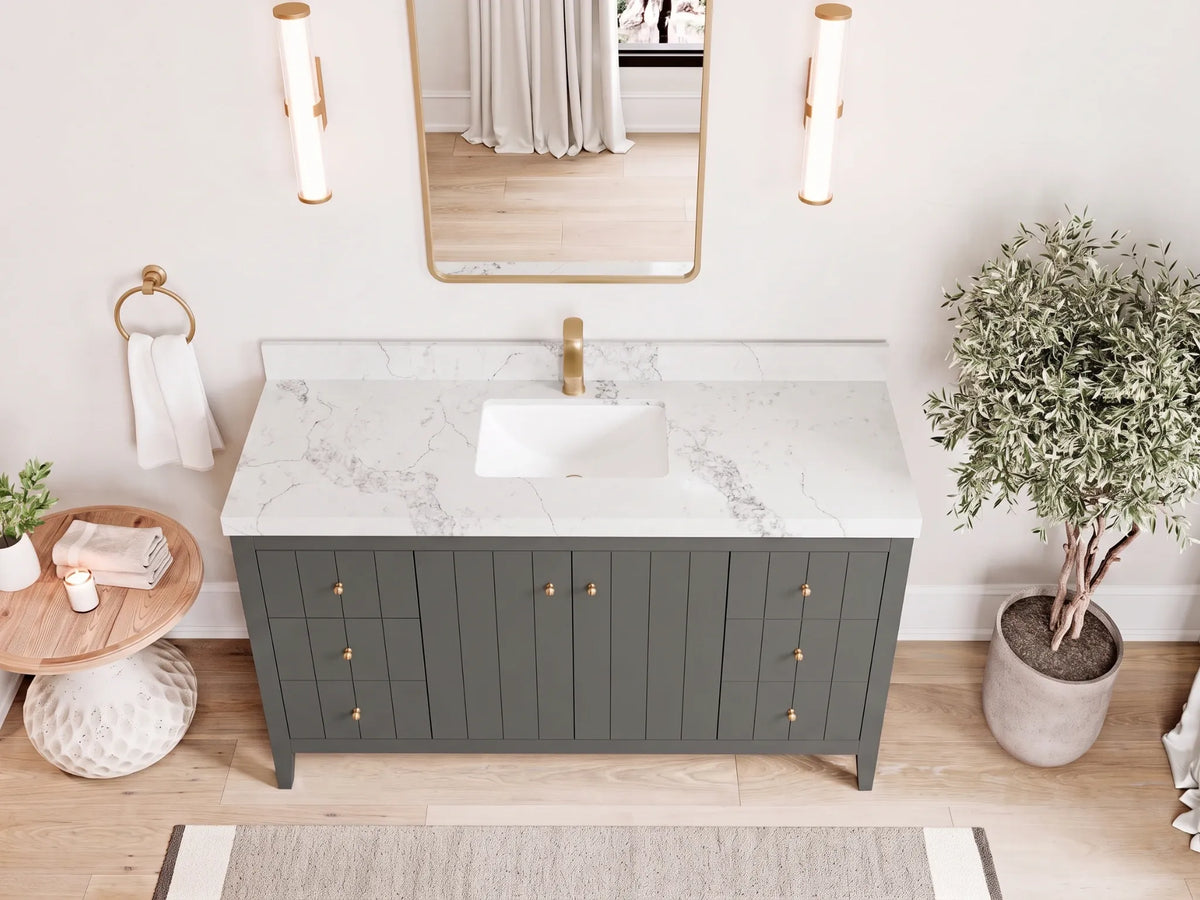 Atlanta 60 in. W x 22 in. D Single Sink Bathroom Vanity