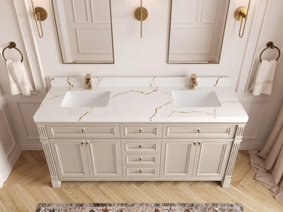 Paris 72 in. W x 22 in. D Double Sink Bathroom Vanity
