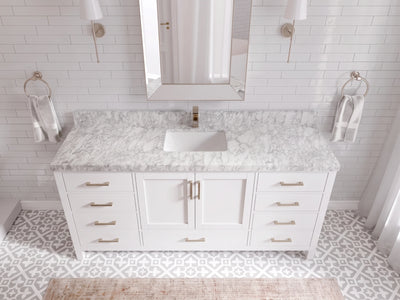 Malibu 72 in. W x 22 in. D Single Sink Bathroom Vanity
