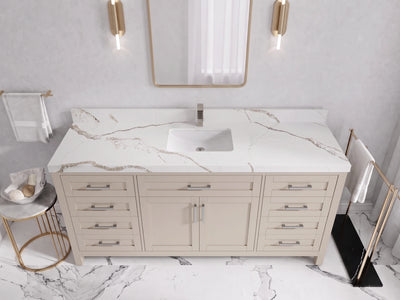 Cambridge 72 in. W x 22 in. D Single Sink Bathroom Vanity