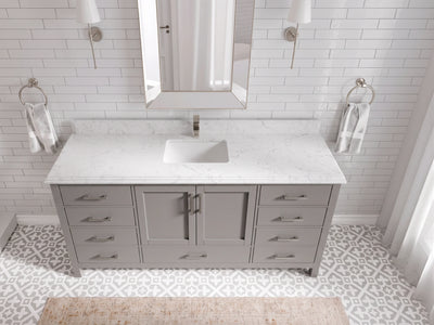 Malibu 72 in. W x 22 in. D Single Sink Bathroom Vanity