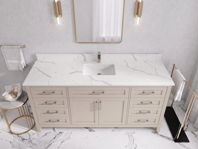 Cambridge 72 in. W x 22 in. D Single Sink Bathroom Vanity