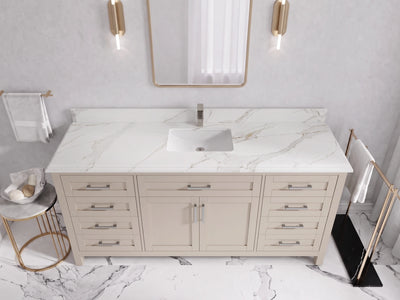 Cambridge 72 in. W x 22 in. D Single Sink Bathroom Vanity