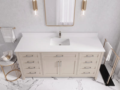 Cambridge 72 in. W x 22 in. D Single Sink Bathroom Vanity