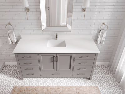 Malibu 72 in. W x 22 in. D Single Sink Bathroom Vanity