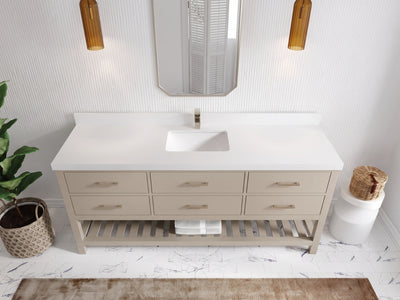 Parker 72 in. W x 22 in. D Single Sink Bathroom Vanity